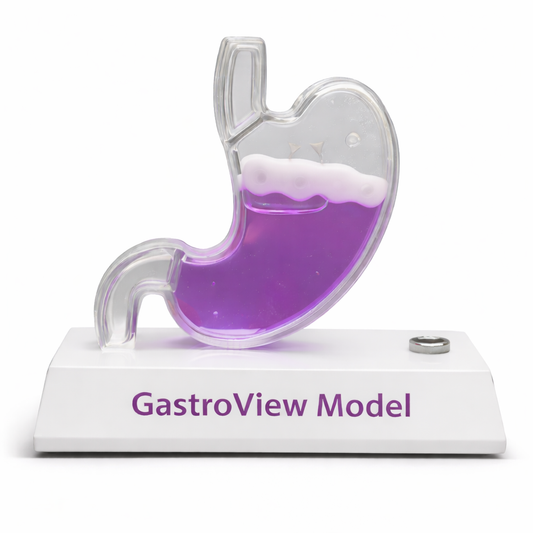 GastroView Model