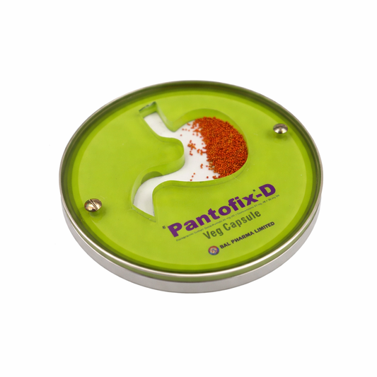 Anatomical Stomach Display (Pharma Therapy Visual)