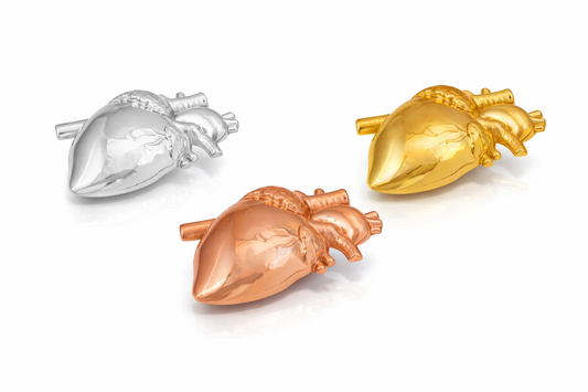 Cardio Metal Paperweight – Anatomical Heart Desk Paperweight