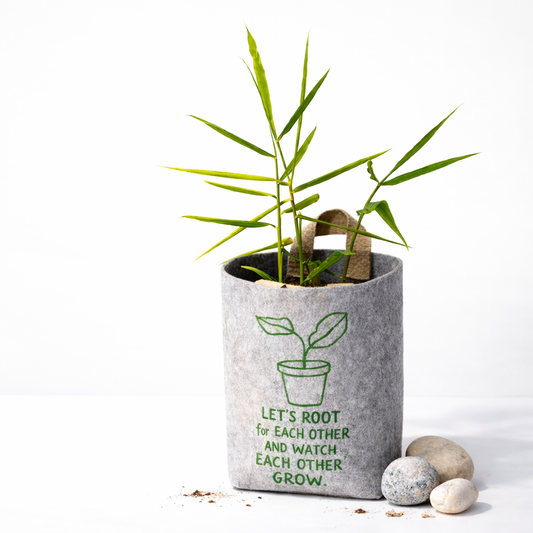 Plantable Felt Grow Bag